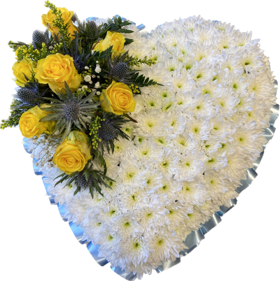 Heart Tribute SYM 943 - Based in White Chrysanthemums and with ribbon edge and a spray in a colour of your choice, designed with love by our floristry team using the freshest flowers available.